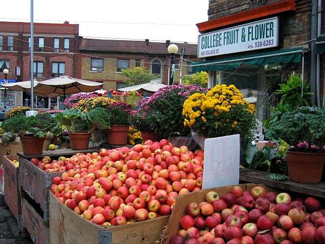 Little Italy Toronto